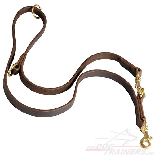Best Dog Leash with Traffic Handle Brown