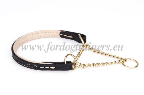 Martingale Collar for Dog Training Brass Chain