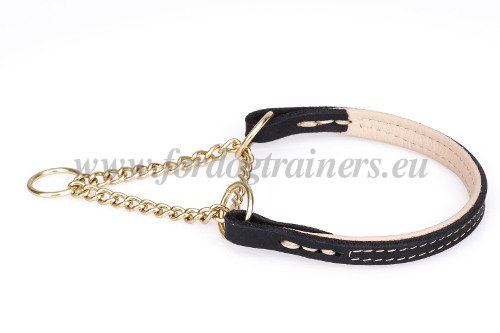 Leather Martingale Collar for Dogs for Correction