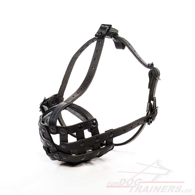 basket muzzle for french bulldog