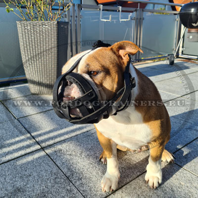 Soft Muzzle for Bulldog Continental