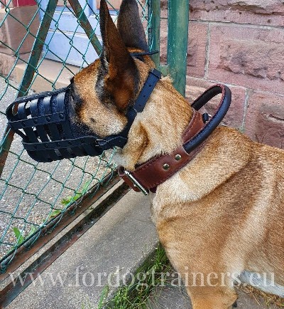 Large and Medium Dog Collar for Malinois