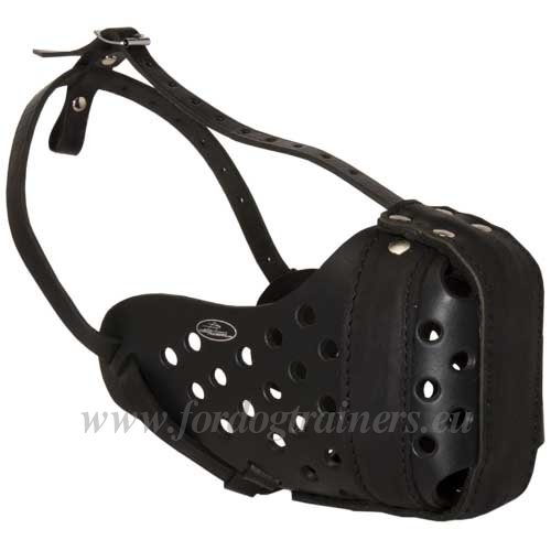 Leather Muzzle for Attack and Protection for Golden
Retriever