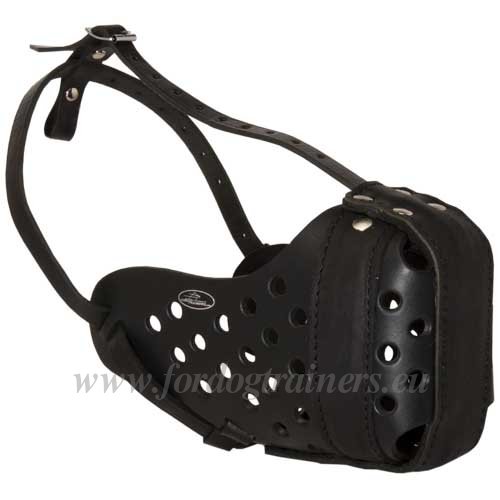 Leather Muzzle for Attack and Protection for Golden
Retriever