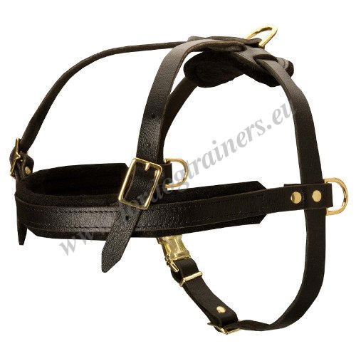 Pulling Dog Harness