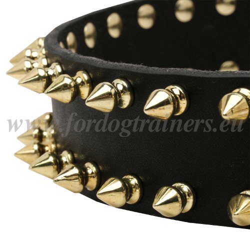 Custom
Spiked Dog Collar