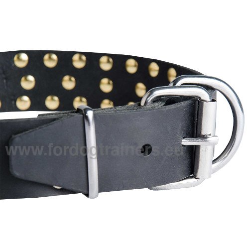 Hundehalsband Leder mit Dornen Dekor