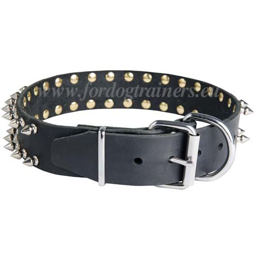Spiked Leather Collar for Big Dogs