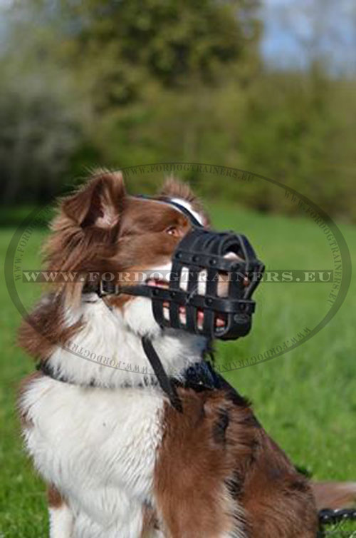 Shepherd Dog Leather Strap Muzzle