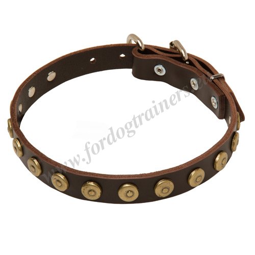 Pet
Collar with Hand-set Studs