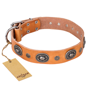 Large Dog Leather
Collar with Studs Tan Studded Collar for Dogs