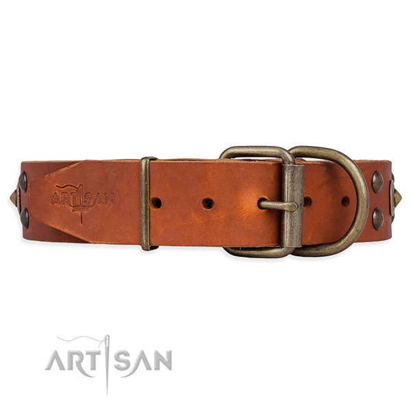 Wide Leather Collar for Dogs