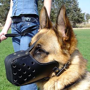Training dog leather muzzle  M5