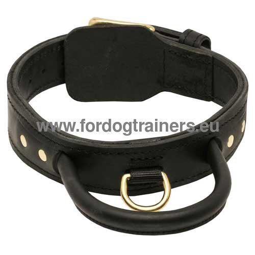 Halsband 45 mm