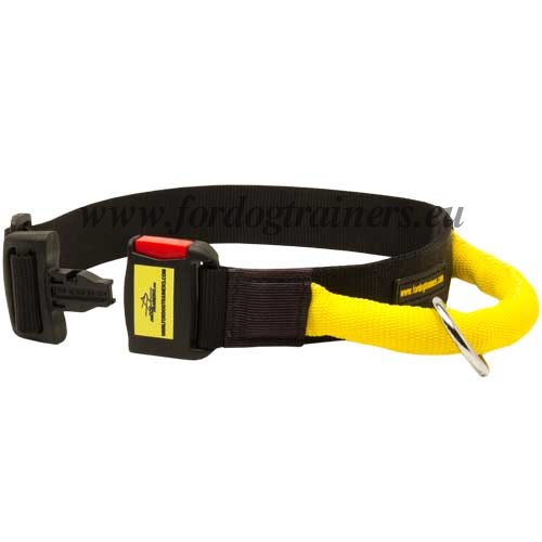 Walking Dog Collar for Medium Dog