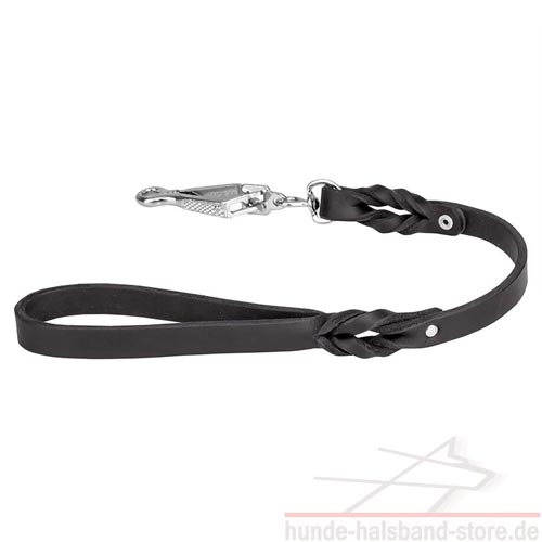 Dog
Collars and Leads