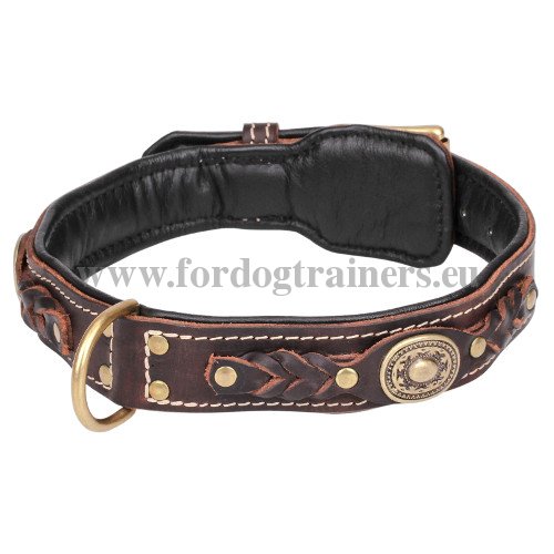 Luxurises Hundehalsband Leder mit Messing Schnalle