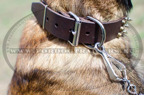 Leather Collar for Malinois Adorned