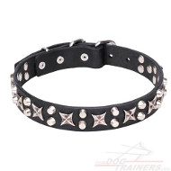 Pet Collar with Chromed Stars and Cones ⚙