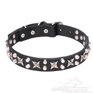 Pet Collar with Chromed Stars and Cones ⚙ Pet Collar with Chromed Stars and Cones ⚙