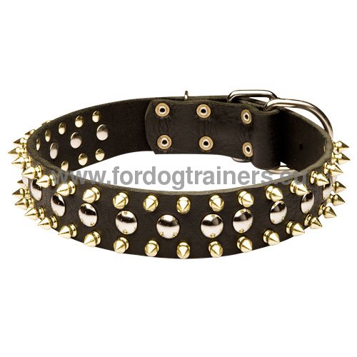 Handcrafted Dog Collar with Spikes