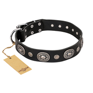 Black Leather Dog Collar