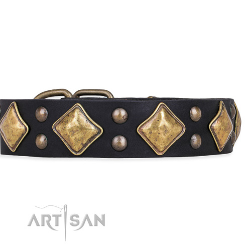 Brass Studded Leather Dog Collar