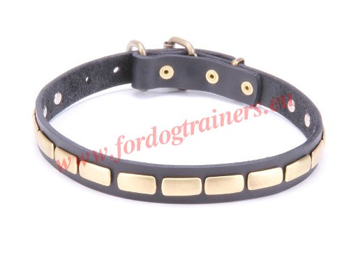 Plated Dog
Collar Leather