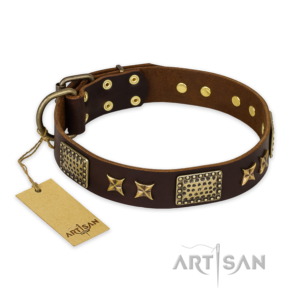 Leather Dog Collar for Walking and Training