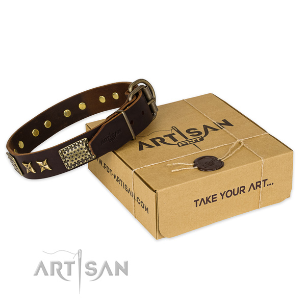 Fordogtrainers Artisan Leather Collar