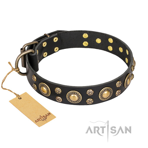 Black Leather Dog Collar Fancy Studs