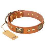 Sophisticated Collar
for Dog Activities Tan Leather Artisan Collar for Dogs Tan