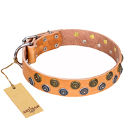 Luxurious Collar for Big Dogs Tan Leather Dog Collar