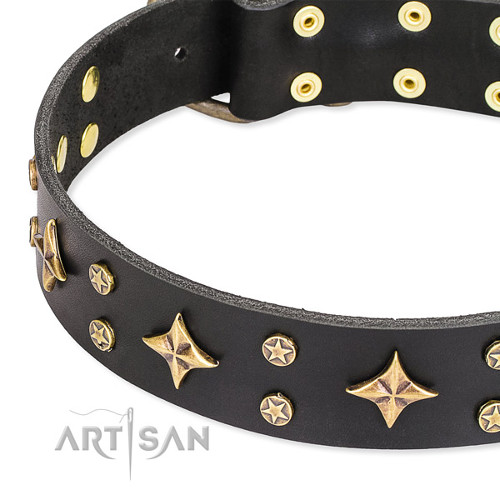 Wide Dog Collar with Decorations