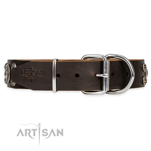 Stylish Studded Dog Collar