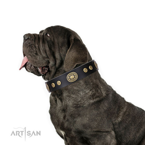 Leather Custom Dog Collar for Extra Large Dog