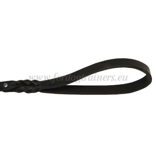 Leather Dog Leash Design Exclusive