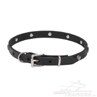 Studded Collar for Dog | Luxury Pet Accessories
