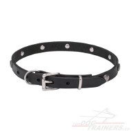 Collier luxe pour
chien