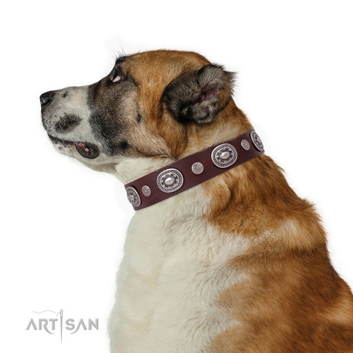Dog Collars for Big Dogs High Quality Leather