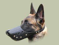 Quotidienne muselire en cuir M71 pour chien Malinois