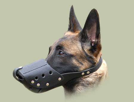 Leder Maulkorb, Malinois