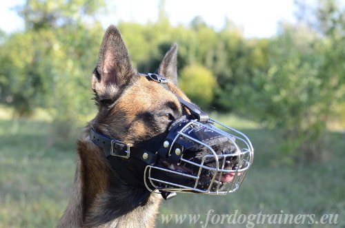 Cage
Muzzle for Malinois Dog