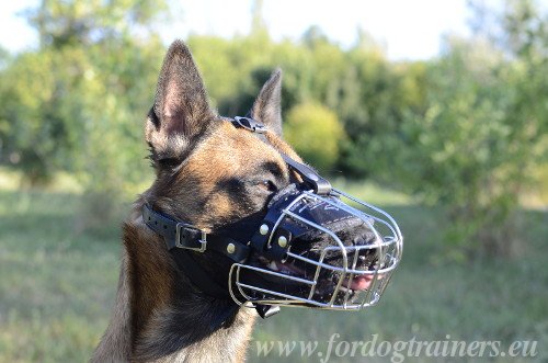 Beikorb aus Draht fr Malinois Hund