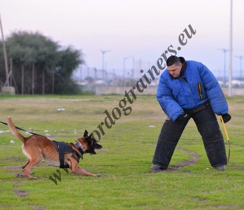 Nylon Geschirr fr Malinois Schferhund