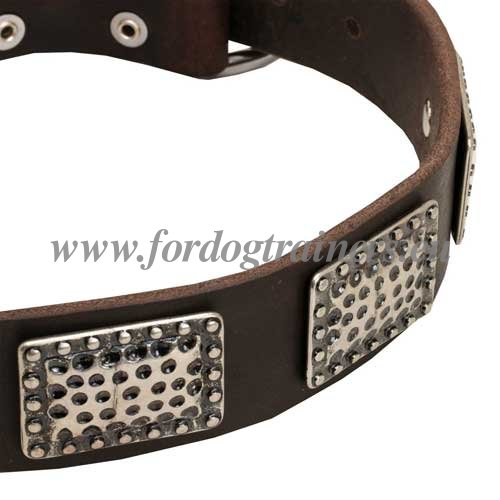 Dog Collar Fittings