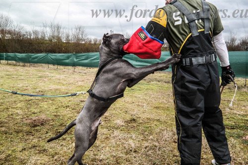 protection mordant chien manchette solide