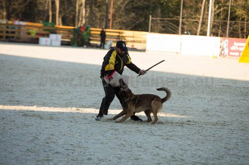 Manchette de protection et fouet pour entraînement du
chien