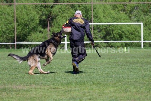 Fourreau en toile de jute & Manchette Fordogtrainers