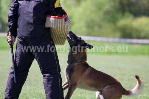 Manchette de dressage avec Fourreau de protection